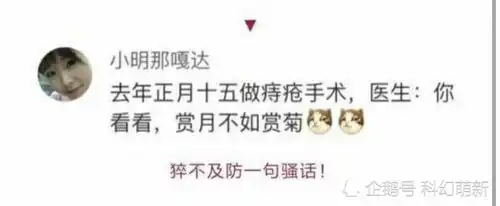  每日一笑,当鲨鱼被做成表情包会有多可爱