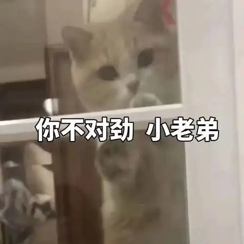  有哪些可以rap的押韵句子