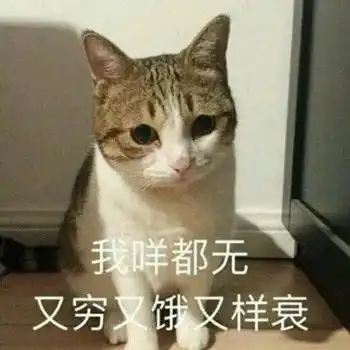 沙雕狗子表情包南海