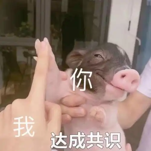  今日的快乐源泉12.3