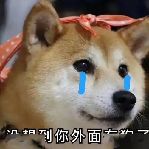 狗托表情包申请费