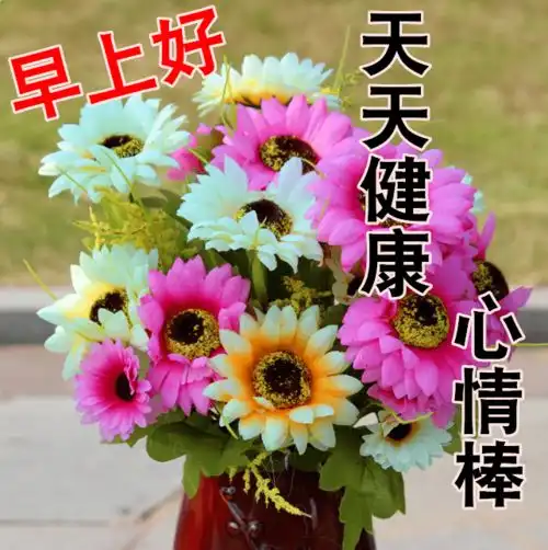 美丽的鲜花早上好表情包,鲜花送给远方的您,祝您健康快乐 美丽的鲜花早上好表情包,鲜花送给远方的您,祝您健康快乐
