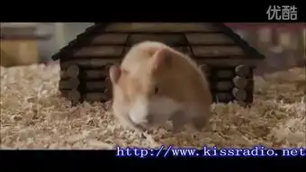  豚鼠特工队中文