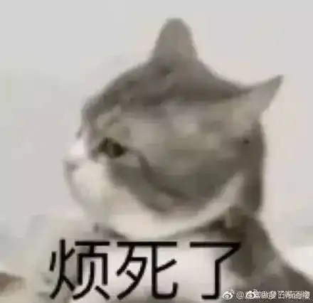  你家的猫
