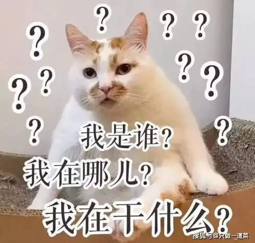 上帝造人表情包空白图蚊