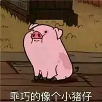  变猪喷雾表情包斗图