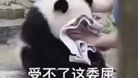  首发入手的iphone12蓝色款今天到了大家可以看看我用去年iphone11promax自带的官方18w充电头充电速度如何