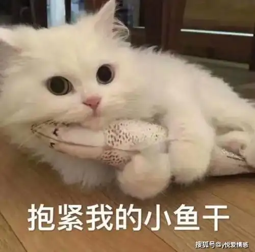  如何确定女生是考验还是根本不喜欢自己看她有没有这样做,一目了然