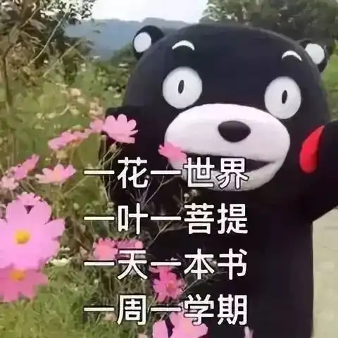  考试和雪,一起来了