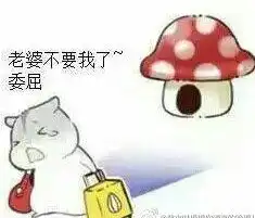  夫君娘子版hamham仓鼠表情包