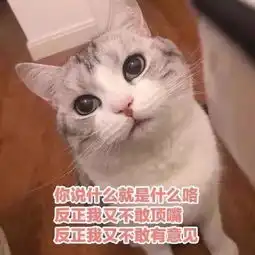  职面未来职场行业初探秘,职young先行计划招募启动