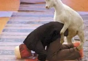 喜羊羊表情包目瞪口呆发