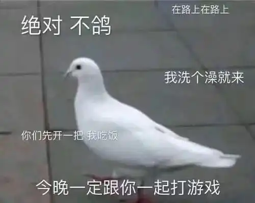  鸽子表情包第二弹,放别人鸽子真快乐,哈哈