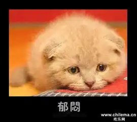 美女的烦恼表情包兔子