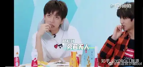  为什么喜欢r1se