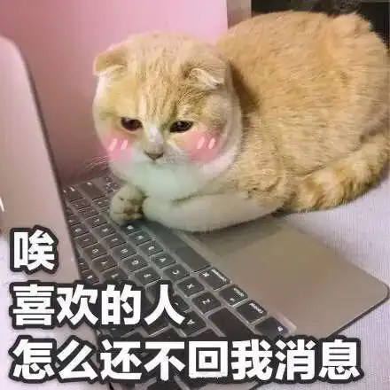 好不好嘛表情包撒娇爱猫