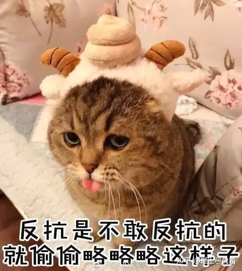 特别会生气的表情包女孩子