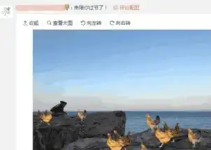  孙红雷晒张艺兴表情包,直言笑懵,兴迷晒图回击太搞笑