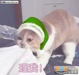  今夜我就是你的圣诞礼物喜欢吗图片我能和你过圣诞节吗表情包下载乐游网游戏下载