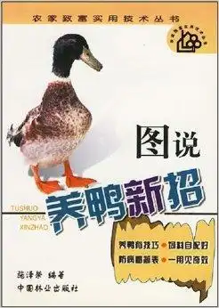  图说养鸭新招