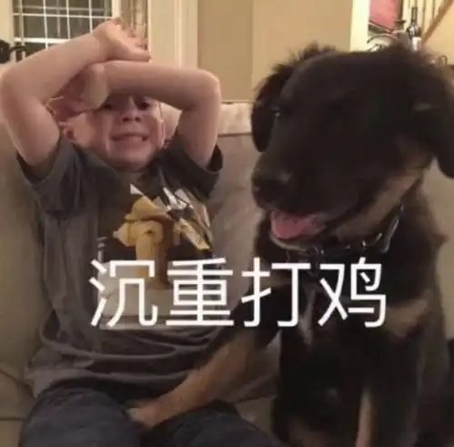  java培训班出来之后的面试经历,很难