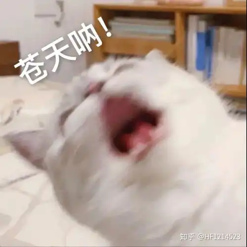  俄罗斯零食10款零食推荐