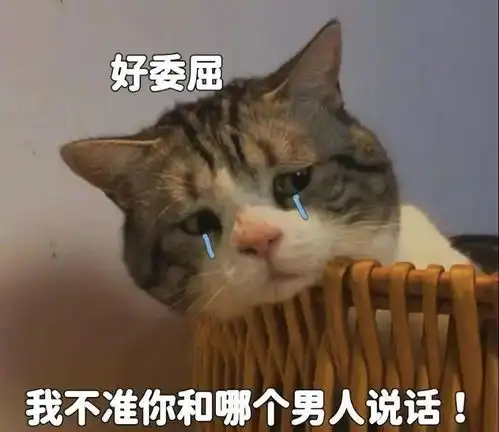  抖音表情包i轮盘转盘抽奖套路表情包