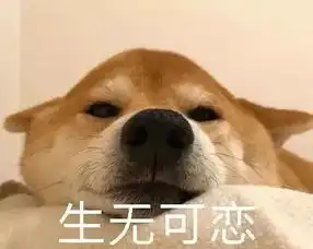  春困夏乏不想起床,感觉自己是只废柴了