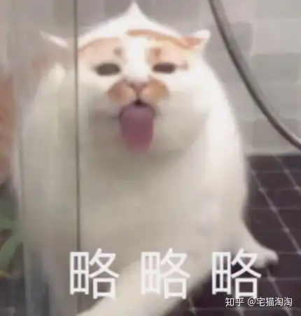 猫咪冲刺表情包略略略