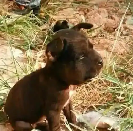  一碰就变猪头,一碰就变香肠嘴这些痛你经历过吗