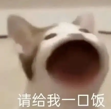  新学期干饭六件小事排队被鸽被偷餐