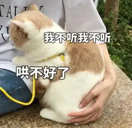 傲娇猫咪表情包生气了,哄不好的那种