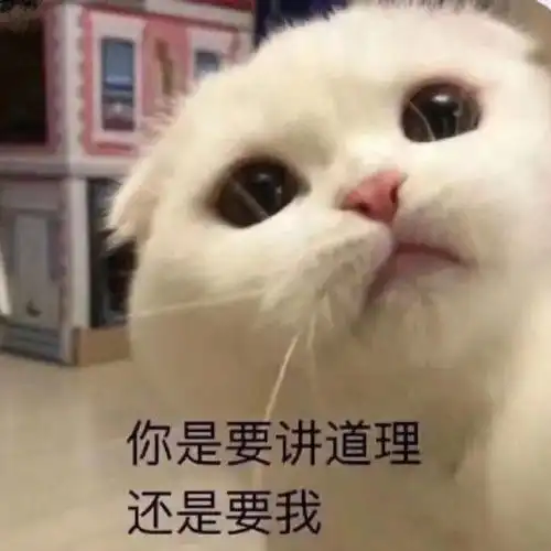  热门沙雕表情包