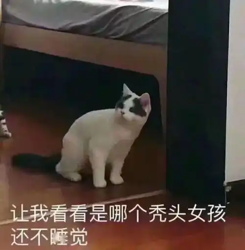  爱发日指南就还挺秃然的