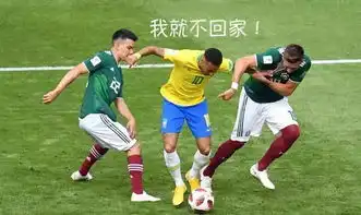  传奇谢幕巴西奇迹躺赢这股来自东方的神秘力量,你怕了么