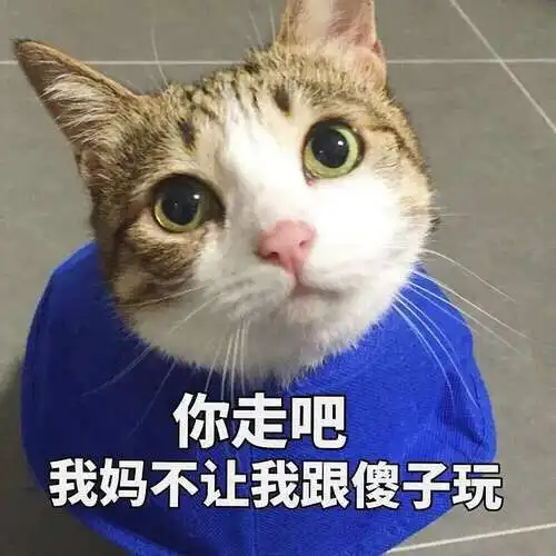 你傻没事我瞎表情包橘猫