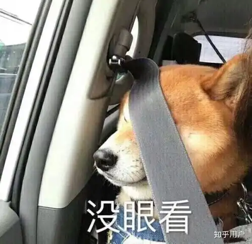  你至今为止做过最沙雕的事情是什么