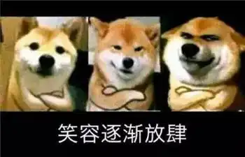  最全沙雕狗子表情包合辑年度最傻狗子都在这儿了