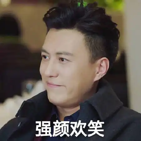  我的前半生贺函靳东带字搞笑表情包大全