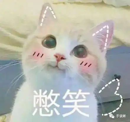 担心表情包猫咪笑破肚皮