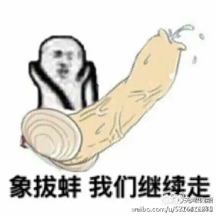  象拔蚌我们走表情包