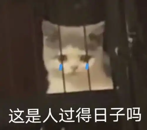 沙雕表情包第1期