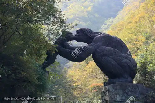 野人图片表情包神农架野