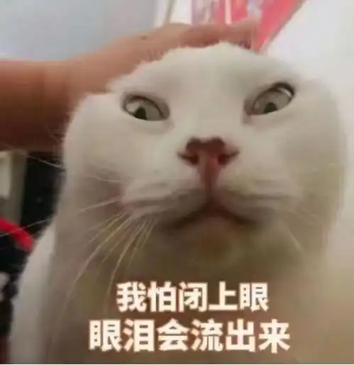  90后姑娘微信拉黑自己老板,究竟为哪般