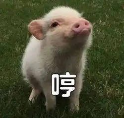  买冷藏肉还是菜市鲜肉华西公卫专家猪肉真嘞不是越新鲜越好,因为......