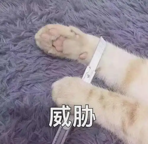  四韩美人系列之被大佬救出,从此卷入权贵圈纷争中