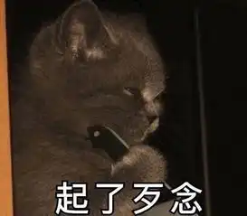  你们的老婆投票结果出来啦