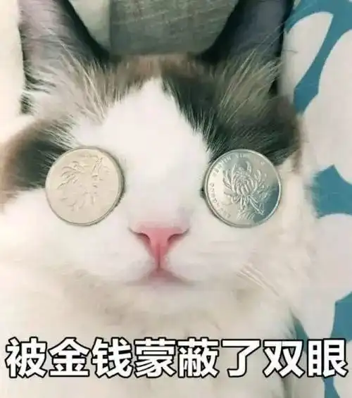 猥琐猫人脸表情包全集眼