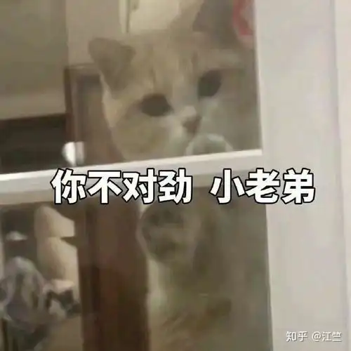  大家看过哪些引起极度不适的小说情节