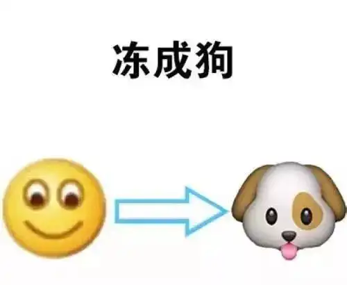 早上好表情包可爱十二圣